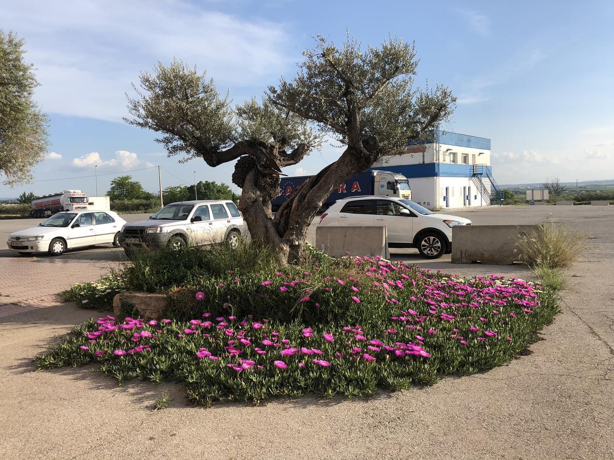 Alcarraz Hotel Restaurant Casa Miquel מראה חיצוני תמונה