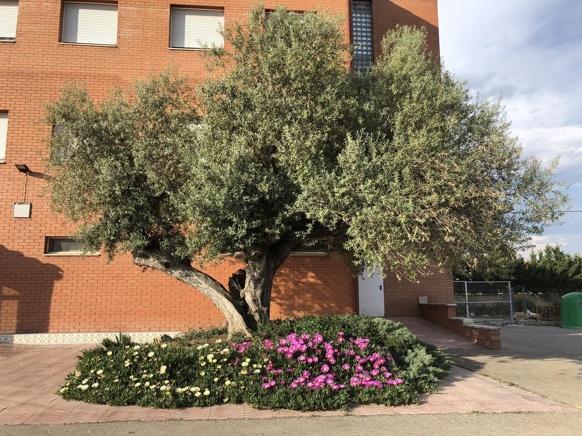 Alcarraz Hotel Restaurant Casa Miquel מראה חיצוני תמונה